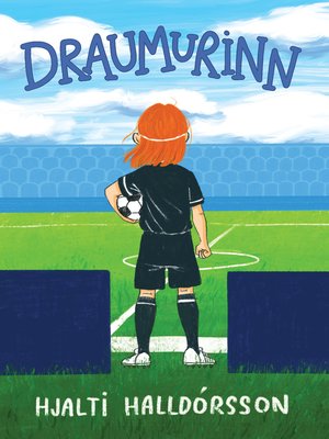 cover image of Draumurinn